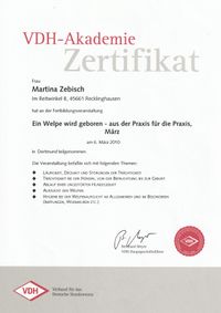 VDH Z&uuml;chter Zertifikat